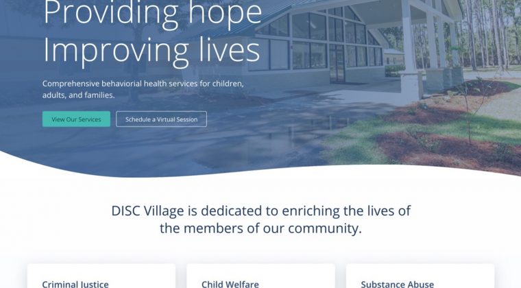 DiscVillage Website Design